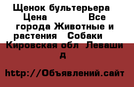 Щенок бультерьера › Цена ­ 35 000 - Все города Животные и растения » Собаки   . Кировская обл.,Леваши д.